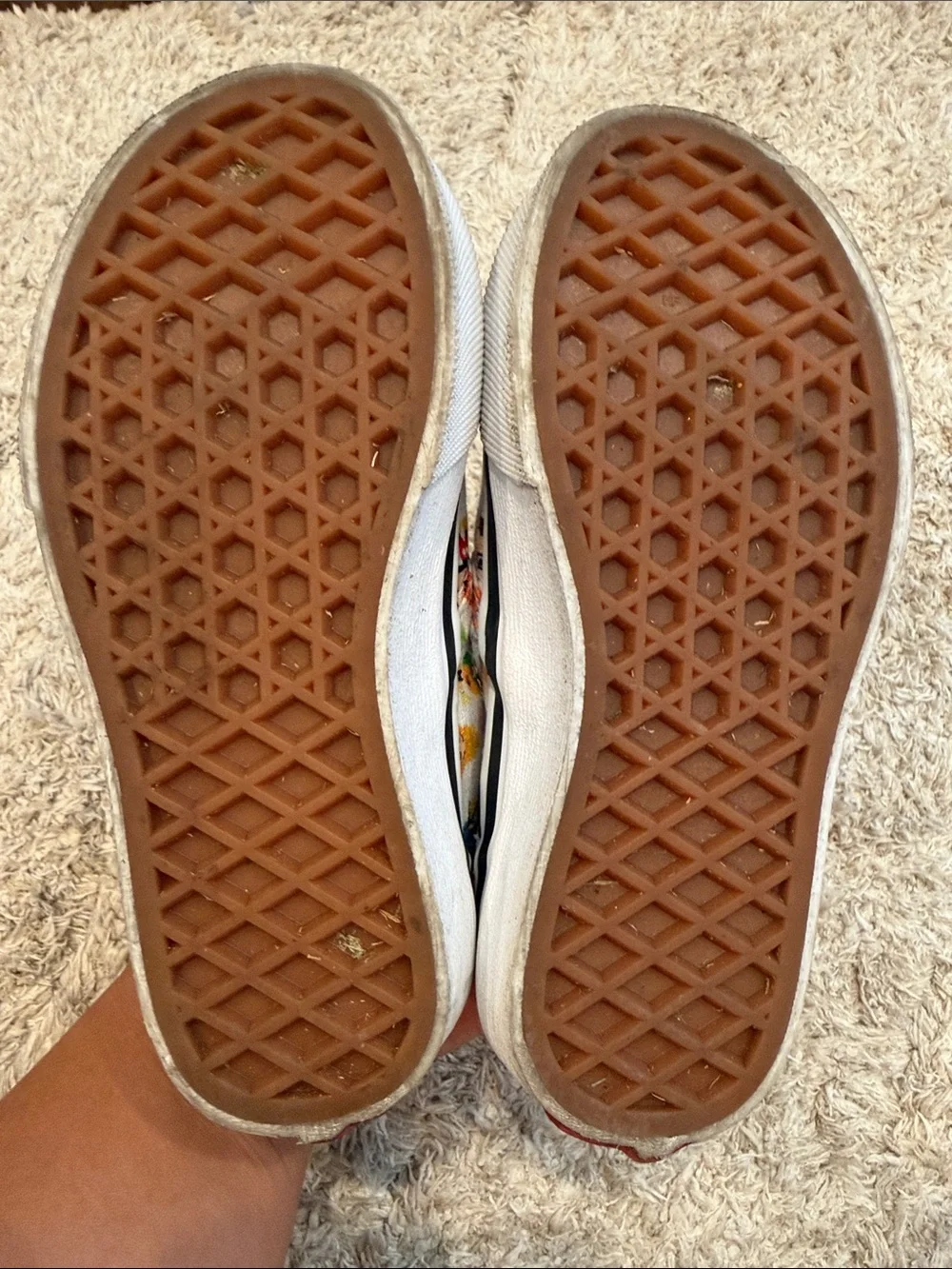 Disney vans